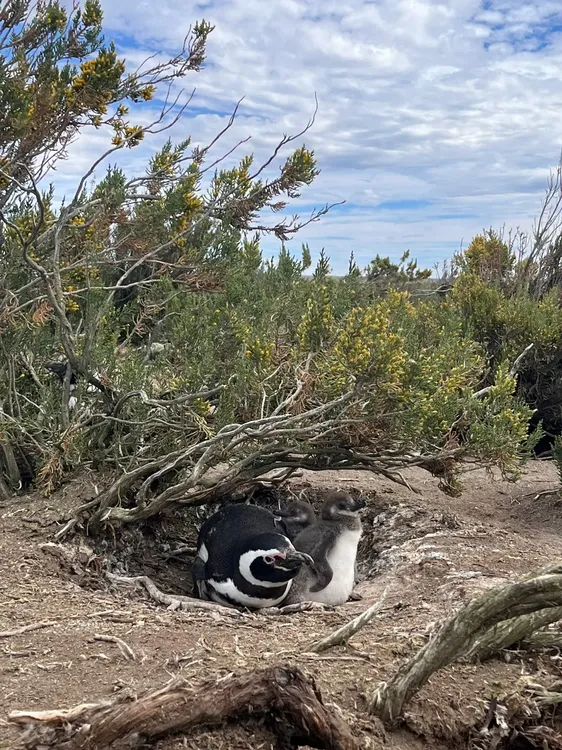 WhatsApp_Image_2025-12-11_at_15.12.12