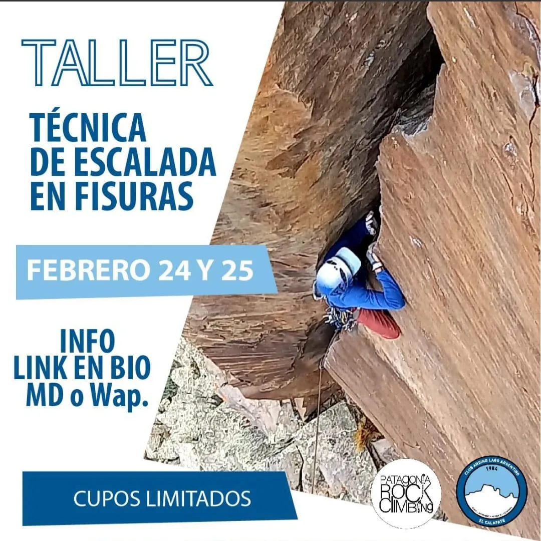 WhatsApp Image 2024-02-03 at 14.57.31