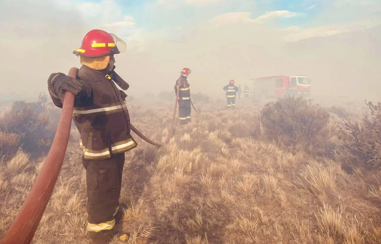 PHOTO-2024-01-21-21-31-35