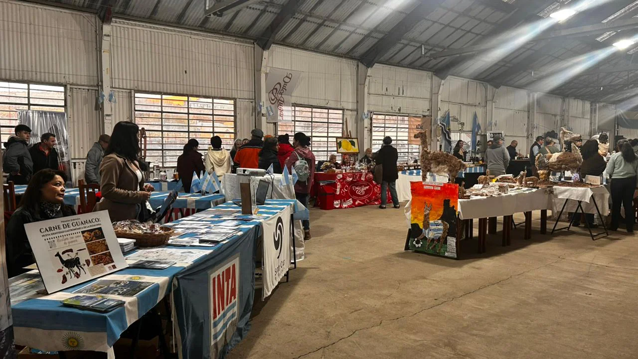 jornada carne guanaco7