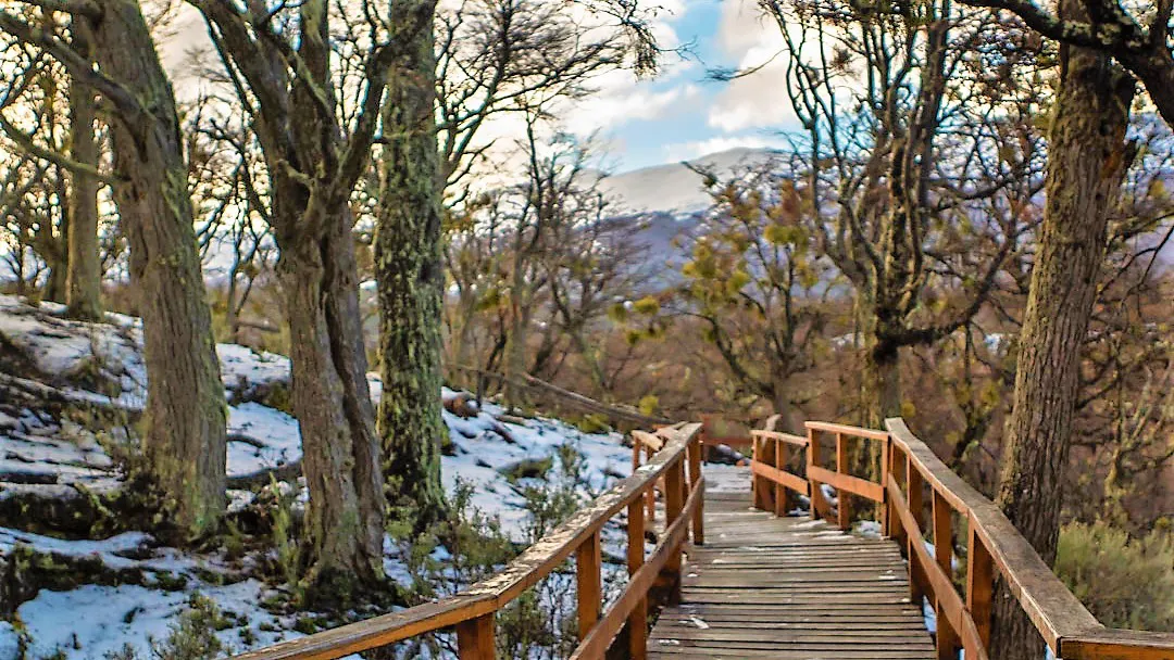 355337362_592655626341595_3983922016963750491_n