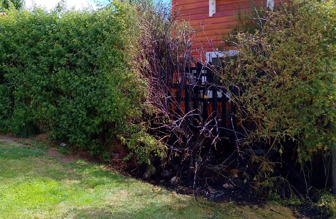 WhatsApp Image 2025-02-01 at 19.00.04