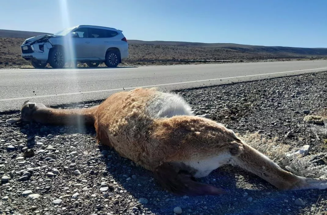 WhatsApp Image 2023-04-21 at 17.35.15 (1)