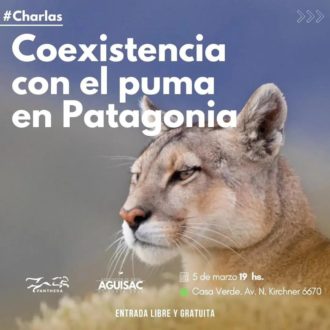 multimedia.normal.8142ca5878d54f33.RUM0MzdENzItNDc4OC00MEUwLThEMkYtNEEyNTMxNERfbm9ybWFsLndlYnA=