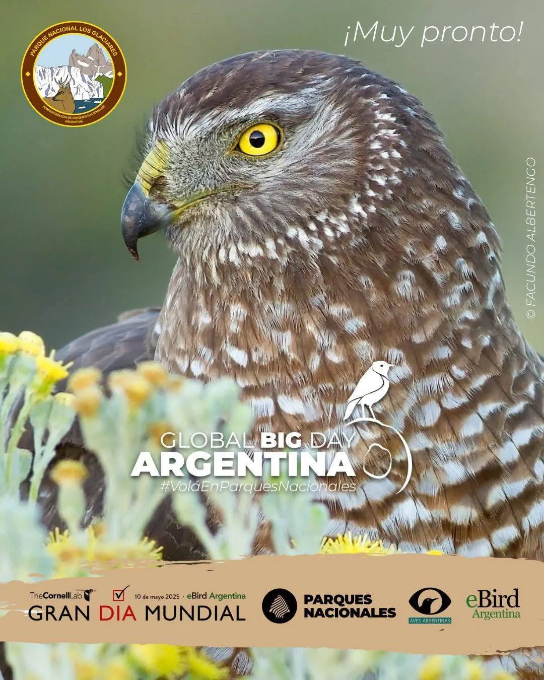 495670699_696479832751437_3515597440877272396_n