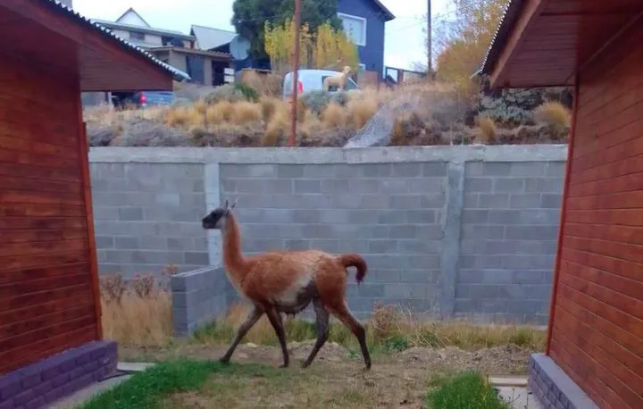 0612F94E-F94E-4E7F-947D-822D7E7FC7D8