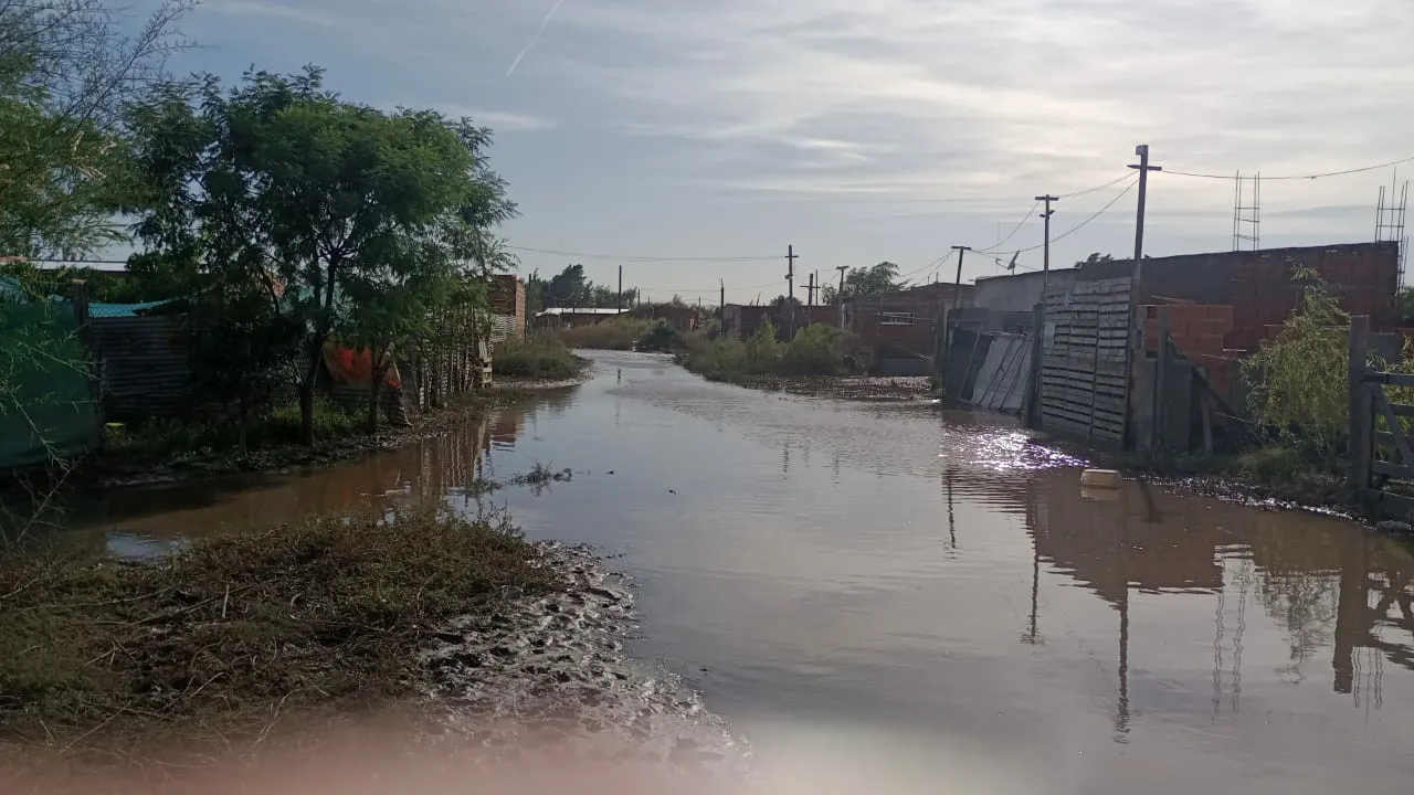 WhatsApp Image 2025-03-10 at 09.52.12