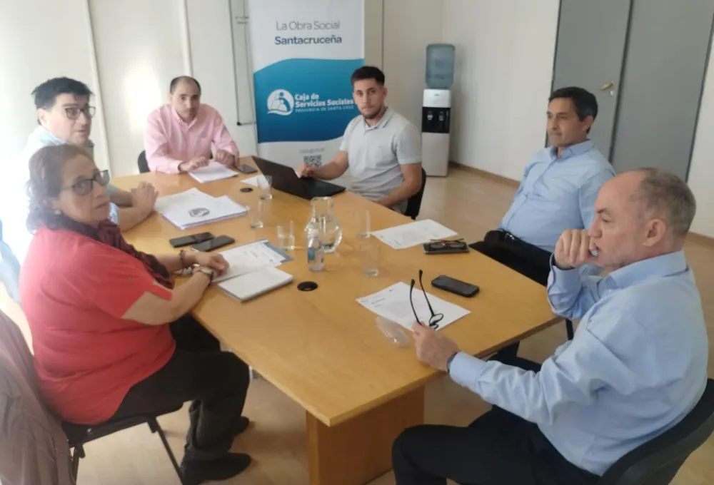 REUNIÓN-DIRECTORIO CSS