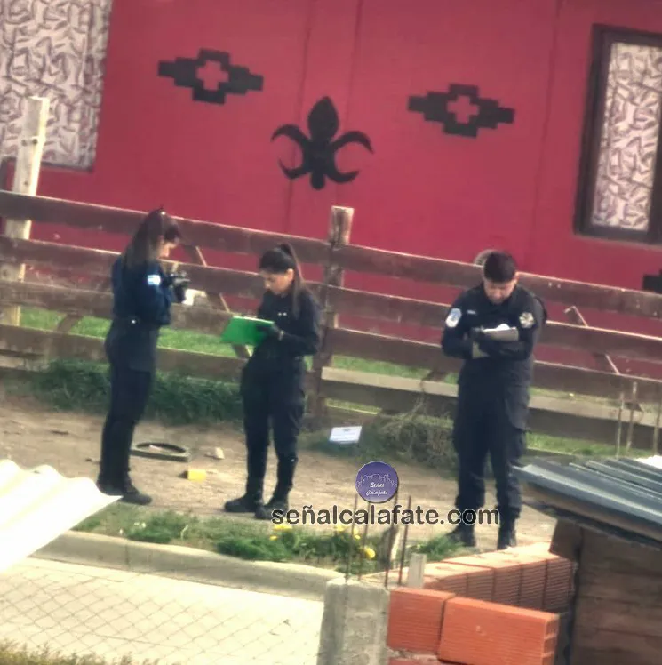 WhatsApp Image 2023-11-07 at 10.45.54