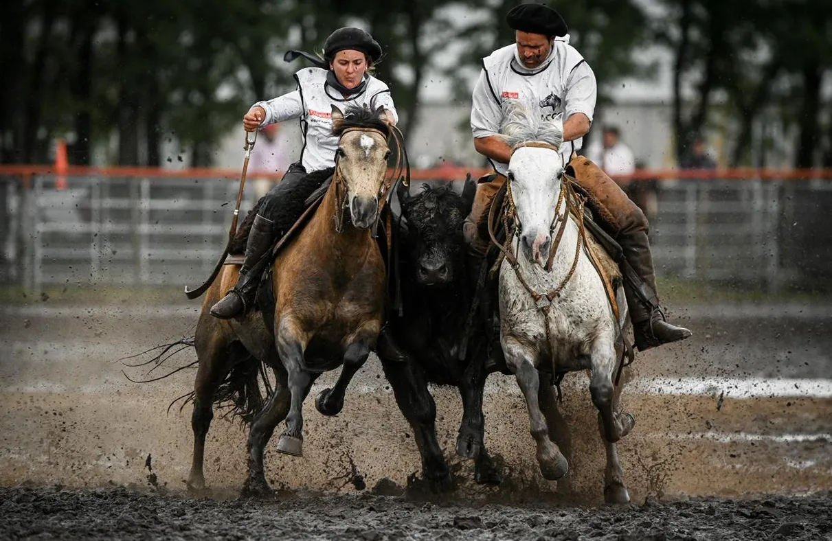 WhatsApp Image 2025-11-01 at 20.19.53