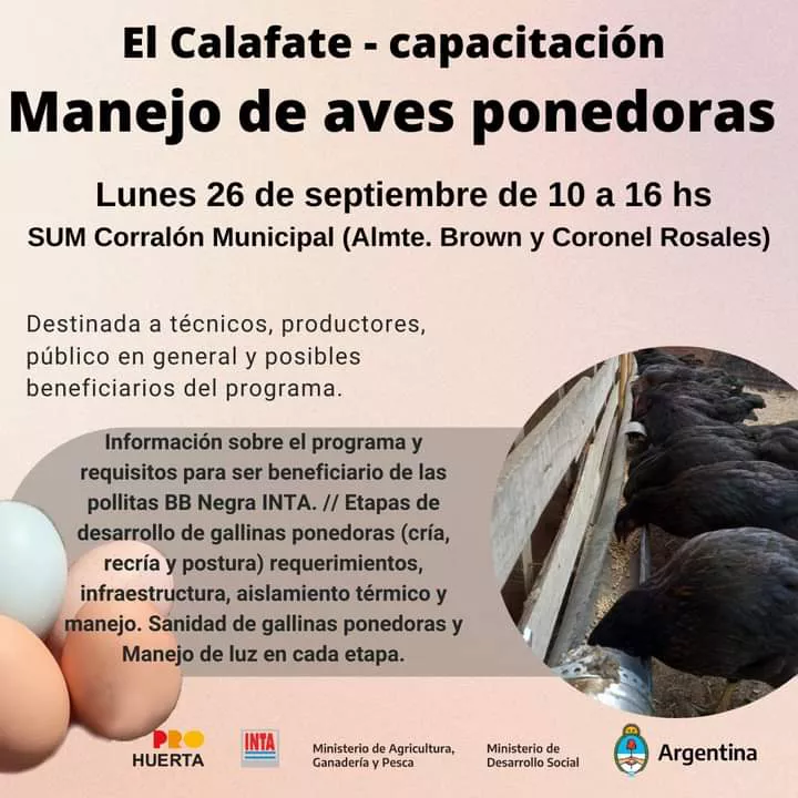 301696817_460048302827887_1218775666794044125_n