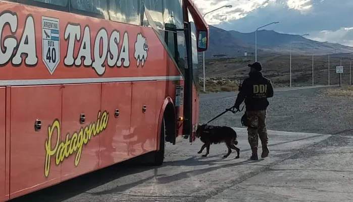 WhatsApp Image 2024-02-02 at 19.04.55