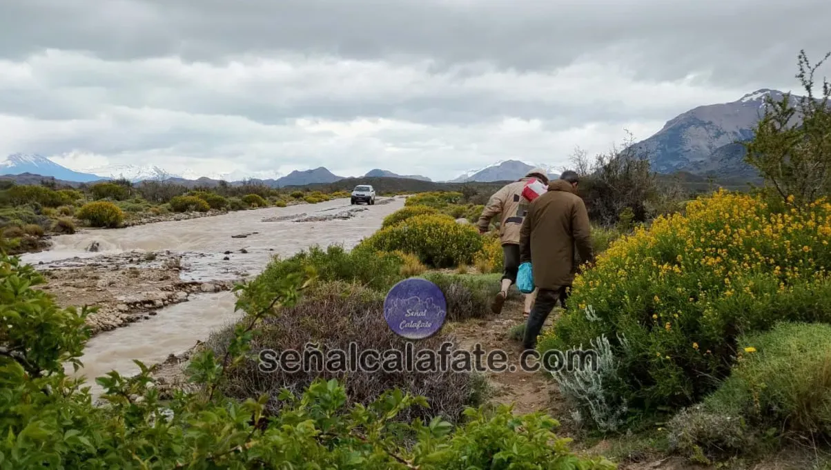 WhatsApp Image 2025-11-16 at 17.34