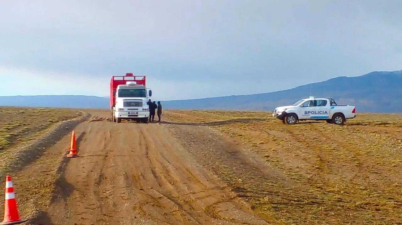 WhatsApp Image 2024-09-11 at 10.36.01