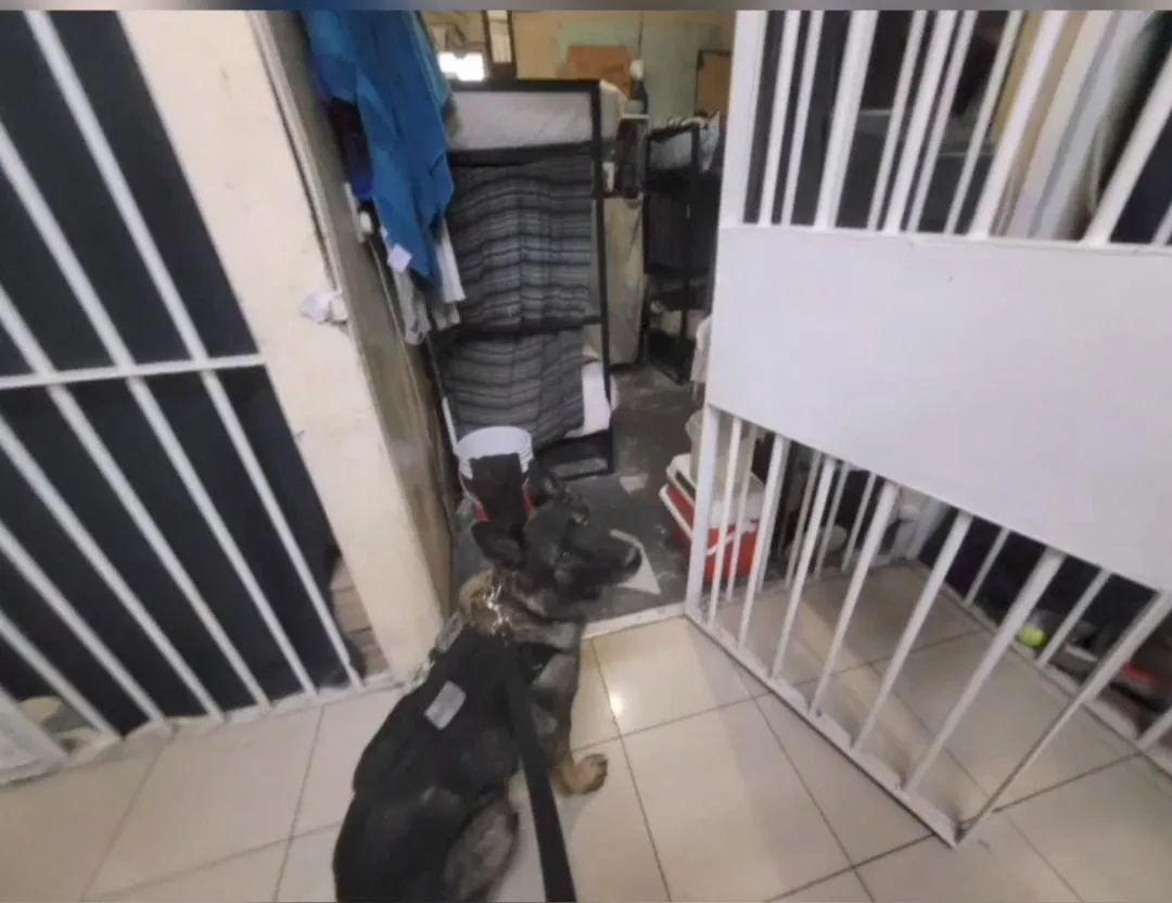 WhatsApp Image 2024-06-07 at 17.27.23 (1)