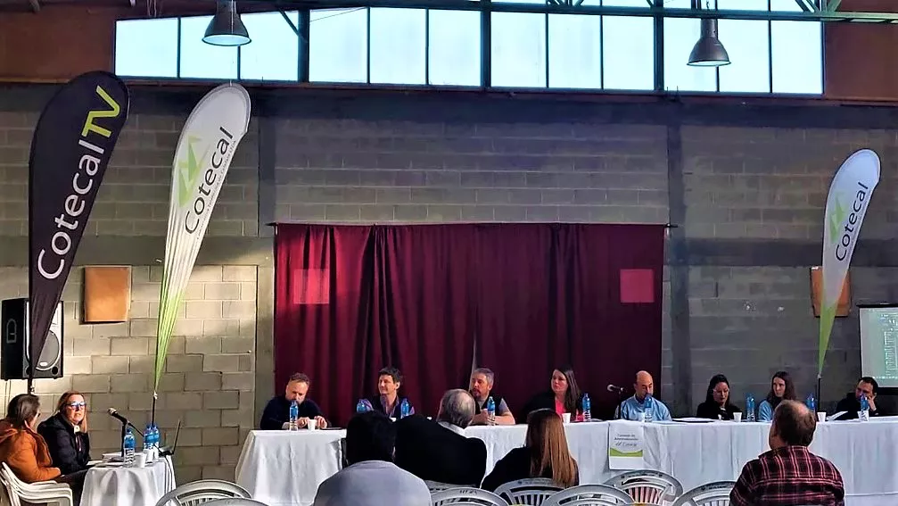 868c34_47d54bff0ee24cb59ef29c8c1f04e498_mv2