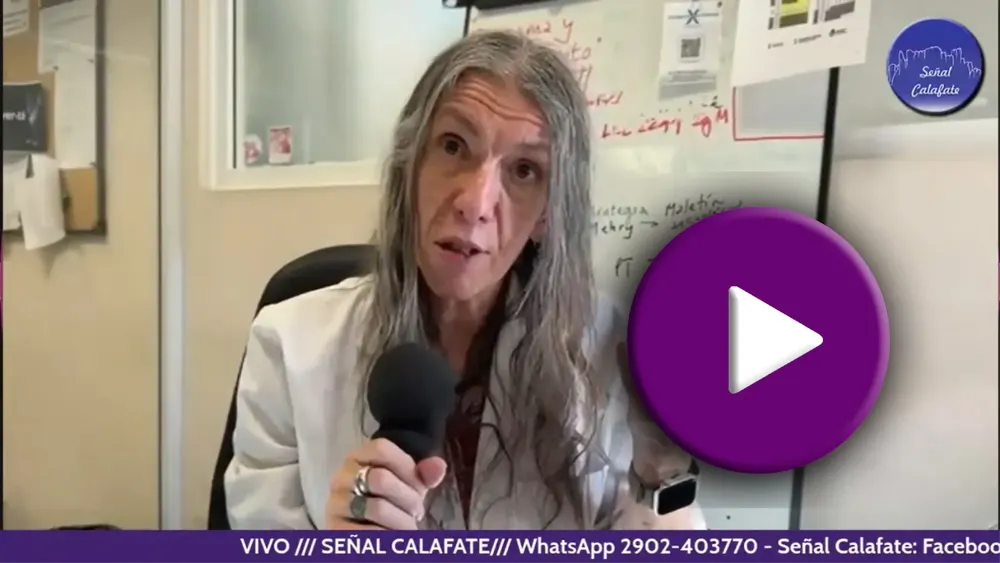 virna almeida
