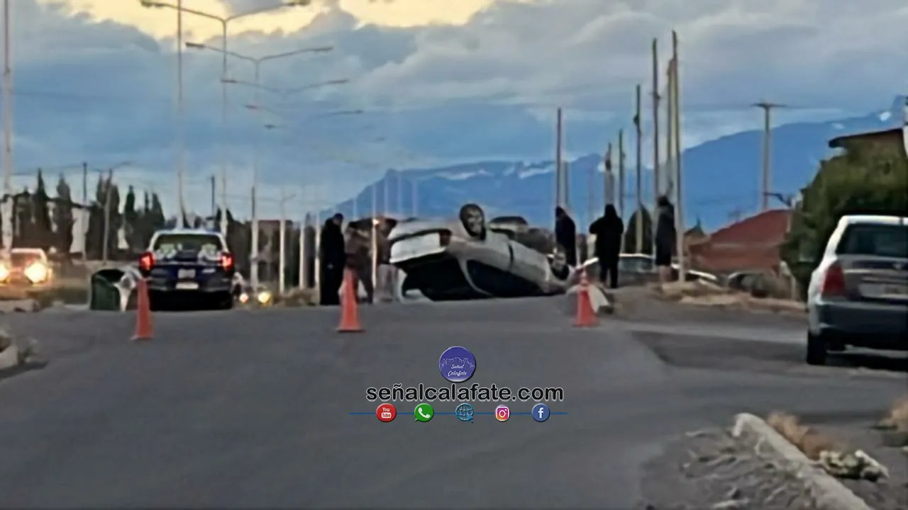 WhatsApp Image 2025-01-17 at 21.47.05