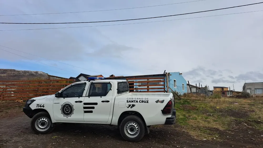 WhatsApp Image 2025-05-15 at 08.17.50