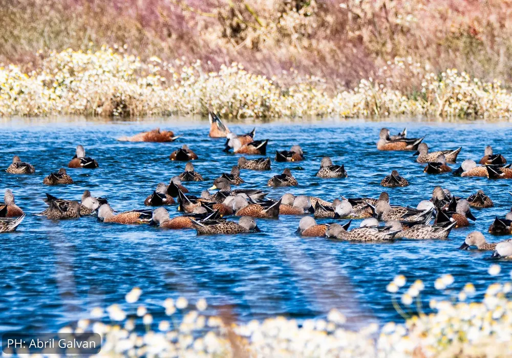 430750986_700540162289186_7420546823775288907_n