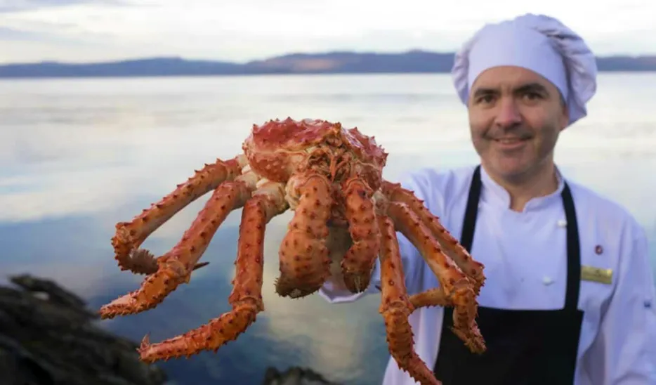 Captura de Pantalla 2025-06-16 a la(s) 12.09.19