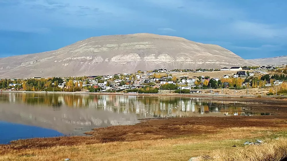 WhatsApp Image 2023-02-08 at 10.03.53