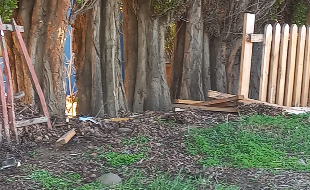 398581549_7458002957560486_3842417674325211907_n