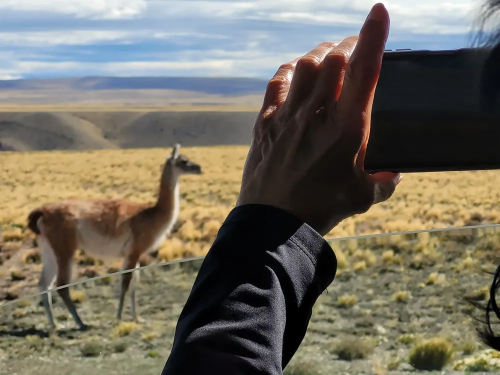 Gina y el arte de guiar en el noroeste de Santa Cruz (2)