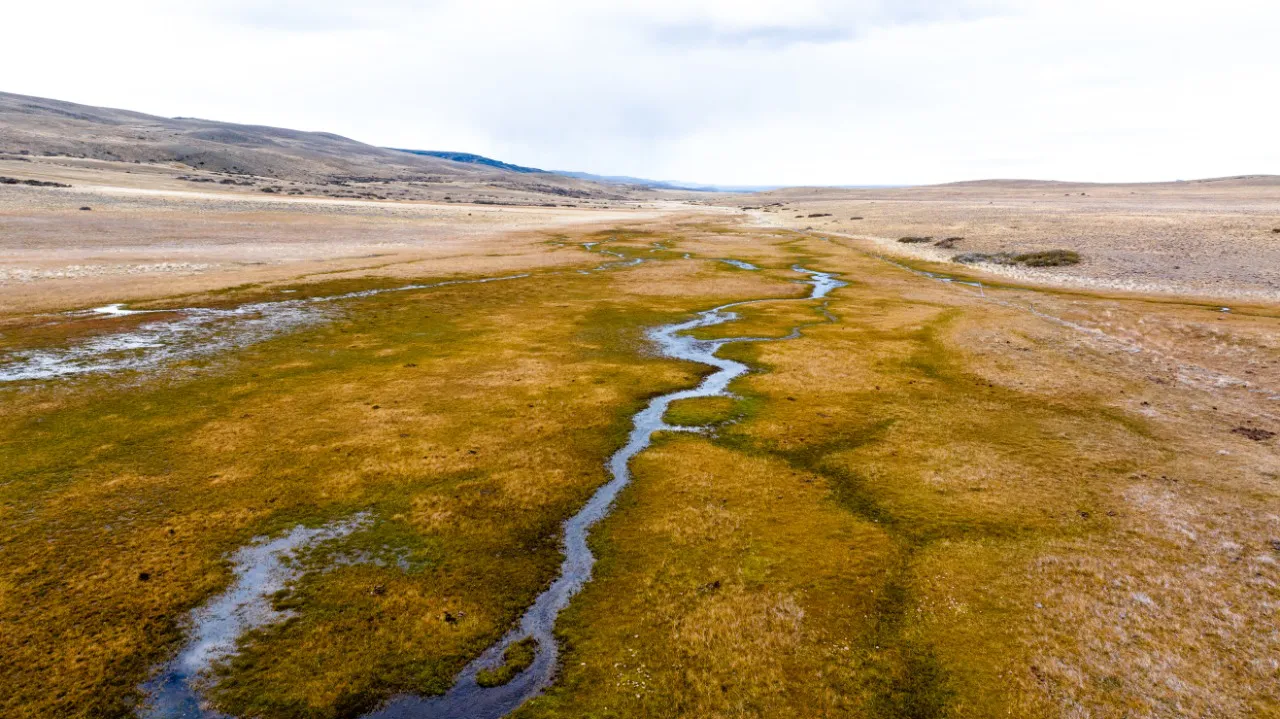 83a3293b-72be-4528-b59c-20b8e8e9f357