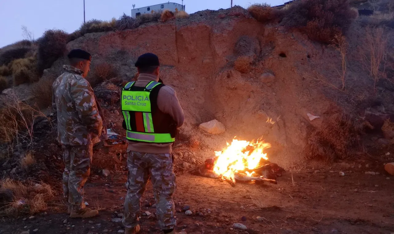 WhatsApp Image 2024-05-31 at 19.35.22 (1)