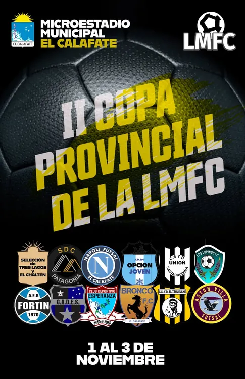 copa provincial