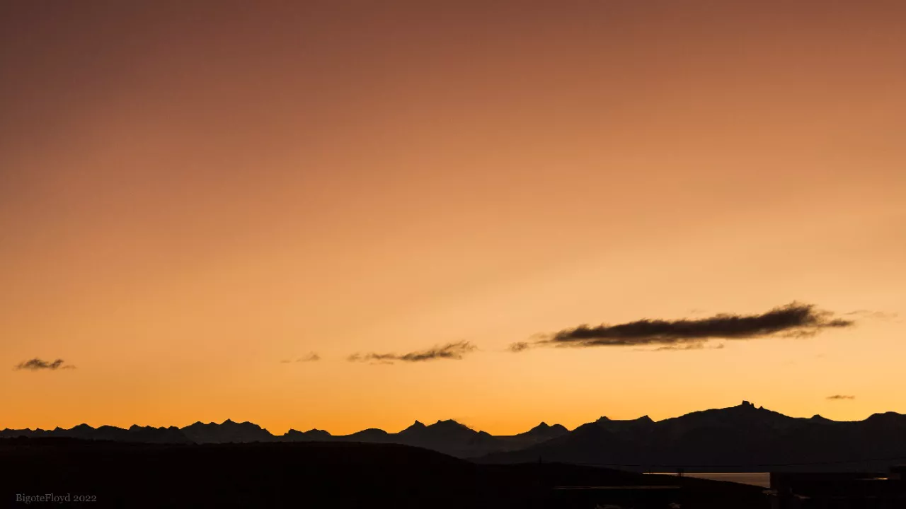 WhatsApp Image 2022-06-20 at 7.06.59 PM