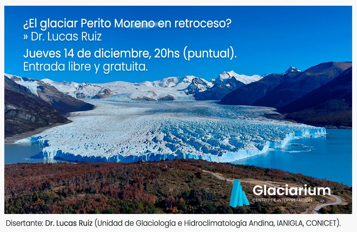 WhatsApp Image 2023-12-12 at 13.21.21