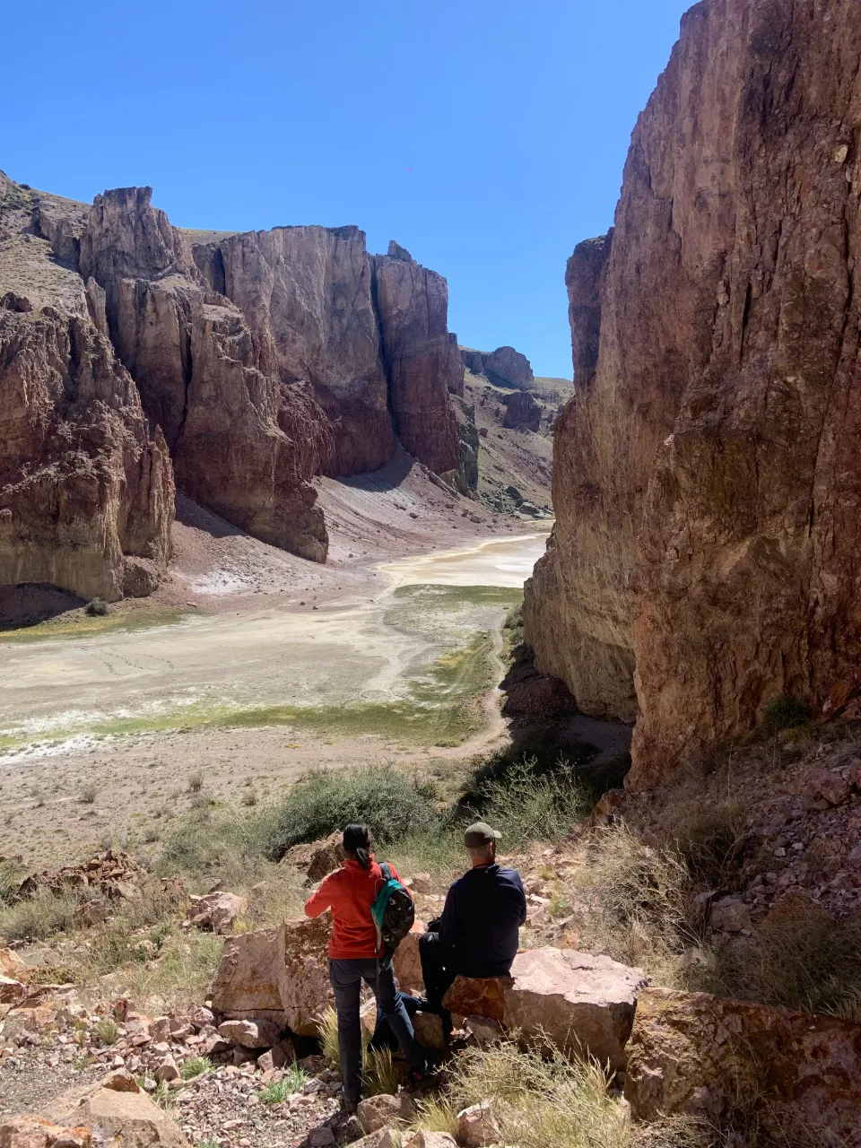 cd8a3663-d754-4947-b293-fc0c418efa38