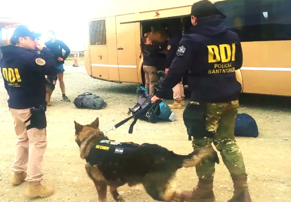 multimedia.normal.8037e547a999c0e8.V2hhdHNBcHAgSW1hZ2UgMjAyMy0xMi0zMCBhdCAxNC5fbm9ybWFsLndlYnA=