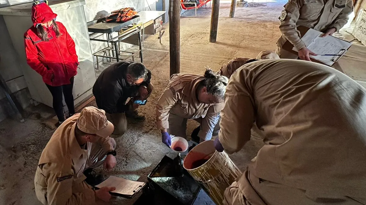 WhatsApp Image 2024-05-17 at 16.37.43 (1)