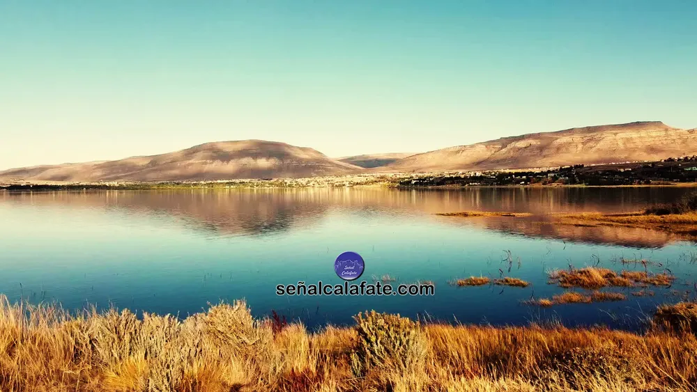 308442673_524041959728152_84164546531798004_n