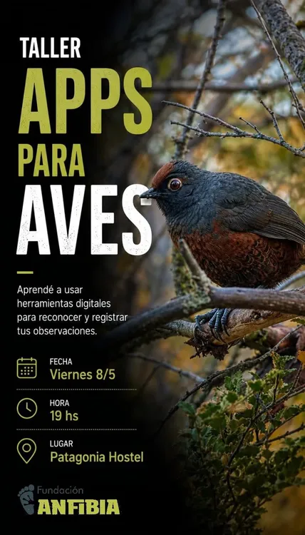 Fl Apps para aves