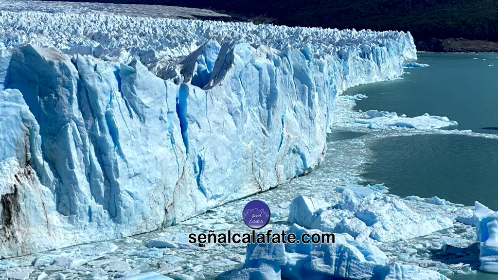 WhatsApp Image 2024-01-30 at 18.21