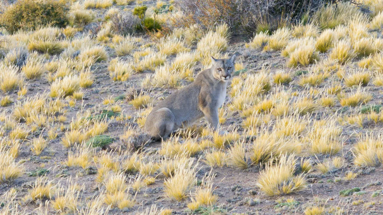 9fee9ccb-26a2-4fe2-94b9-d5130a4836f6