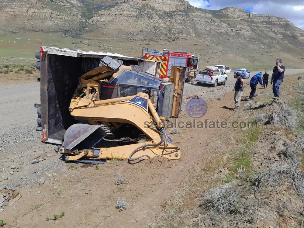 WhatsApp Image 2024-11-25 at 14.41.36