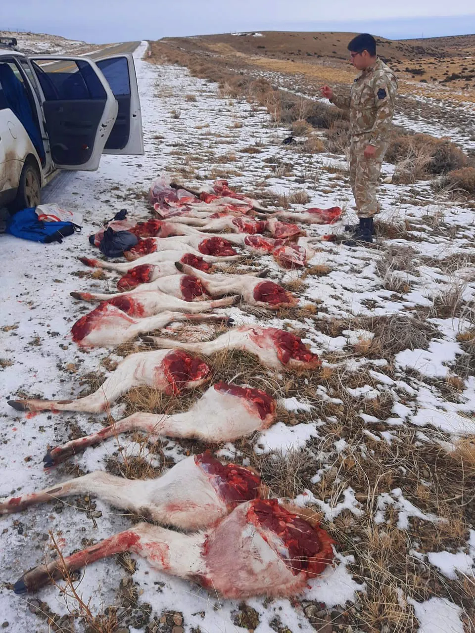 WhatsApp Image 2024-05-31 at 19.35.17