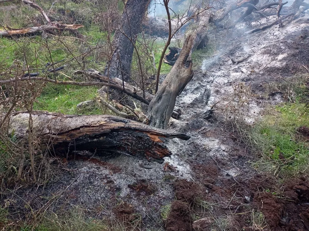 WhatsApp Image 2023-01-20 at 00.13.17