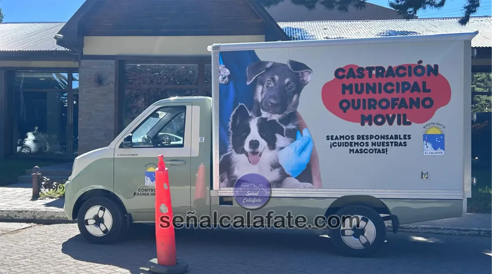 WhatsApp Image 2025-11-20 at 10.51