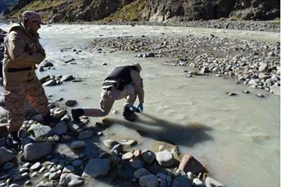 rio carri