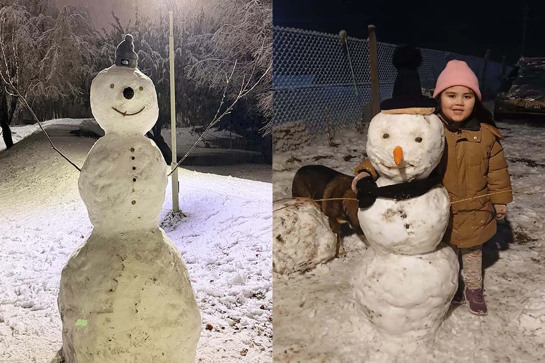 Muñecos de nieve - Invierno 2026