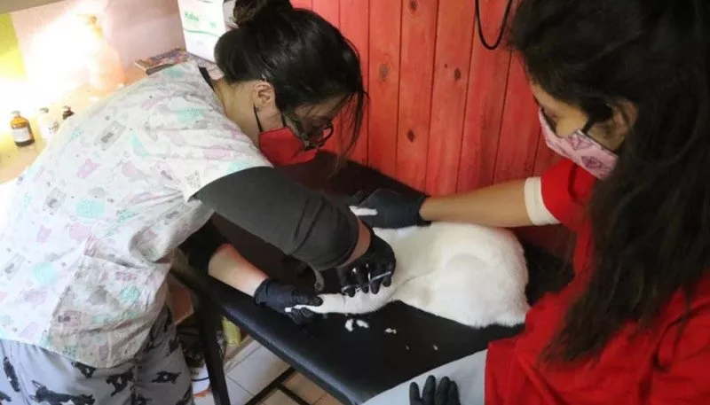 file_106492_main1 (1)