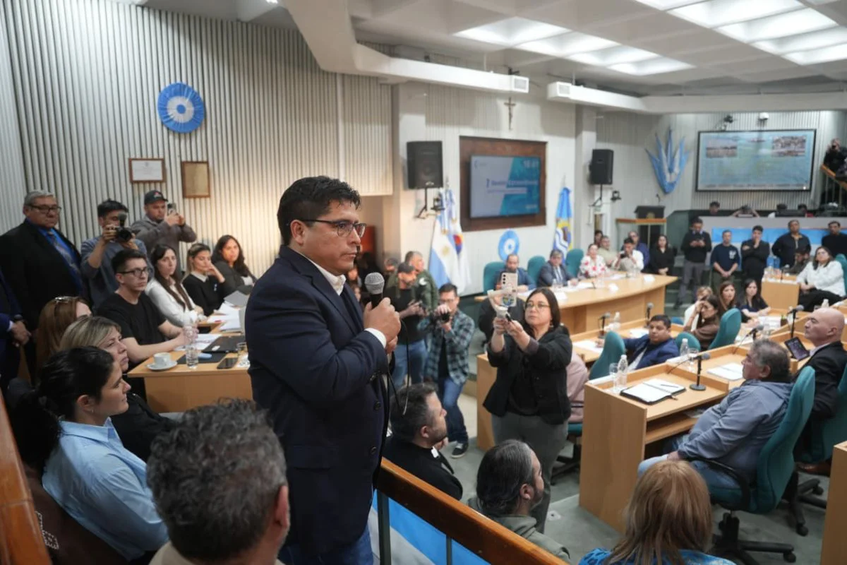 vidal en diputados