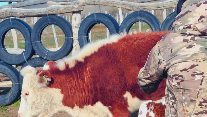 WhatsApp Image 2024-09-11 at 10.36.04