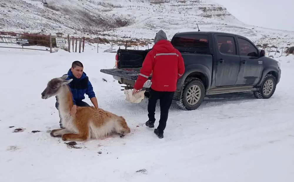 WhatsApp Image 2024-07-05 at 17.36.12 (1)